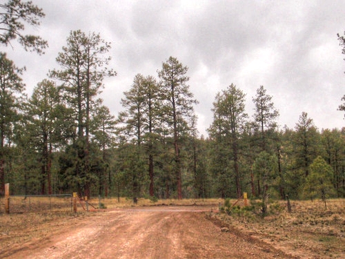 Continental Divide crossing #23.